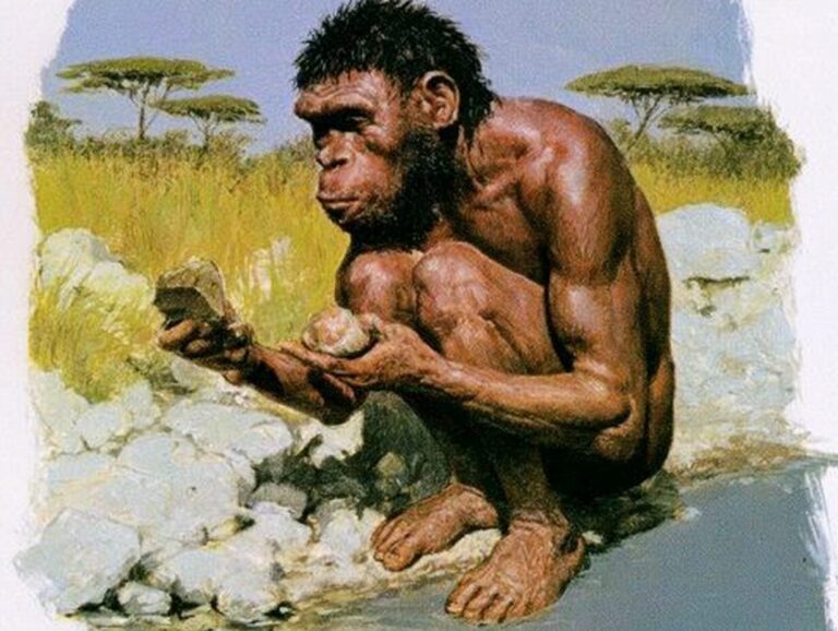 人類の祖先は約1280個体まで減っていた？90万年前の有効集団サイズの推定と反論を検証