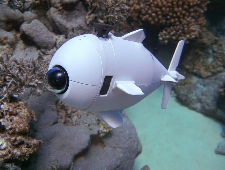 「ロボット魚」の進化を追跡――光で操るエイから“自分で泳ぐ魚”になるまでの設計変化
